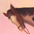Illustration thumbnail